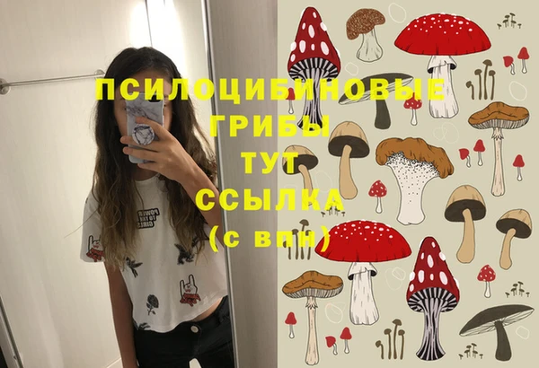 MESCALINE Аркадак