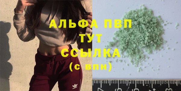 гидра Арсеньев
